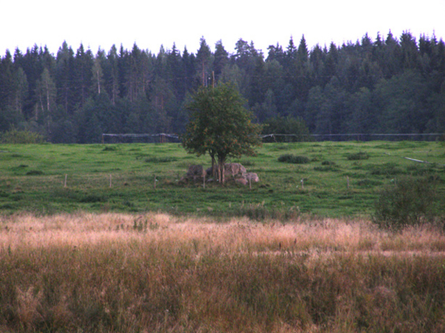 Fotografía por Tool47 para DesignCrowd (Community Contests) | Diseño #9016591