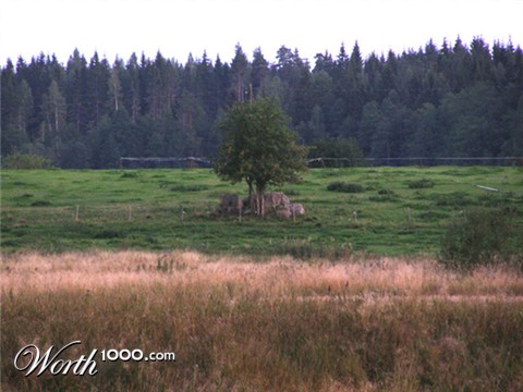 Photography by Tool47