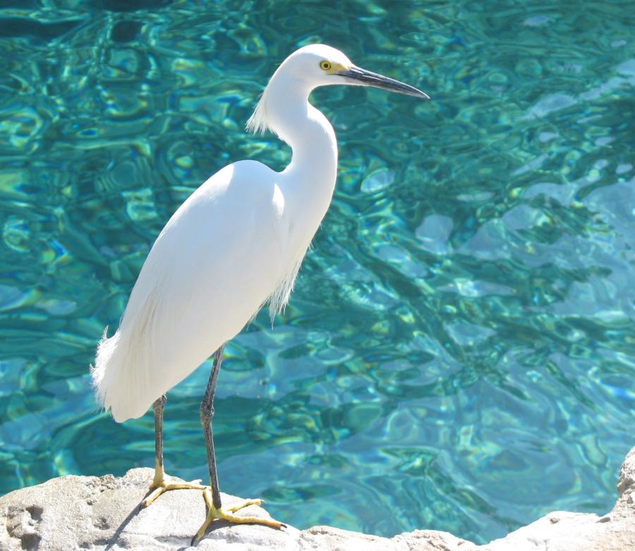 Photography by Larah McElroy for DesignCrowd (Community Contests) | Design #9019365