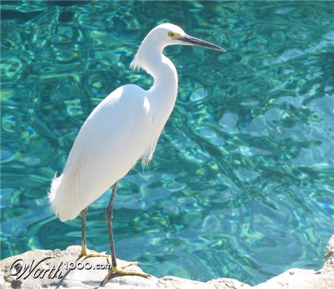 Photography by Larah McElroy