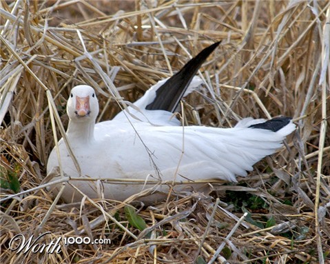 Photography by drdonallen