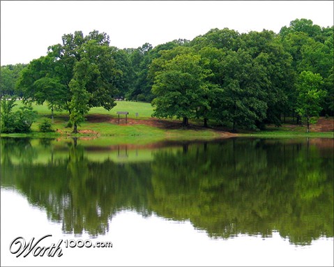 Photography by meevee78