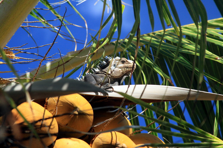 Photography by heldebaume for DesignCrowd (Community Contests) | Design #9019413