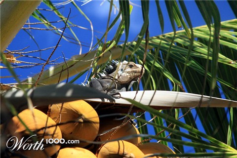 Photography by heldebaume