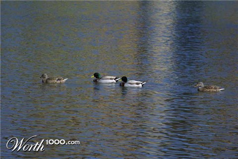 Photography by mhcork