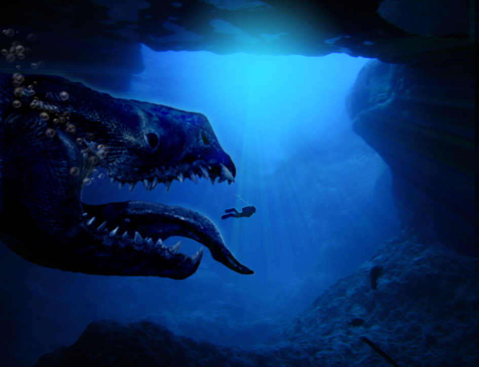 Photoshop Design by Limited Edition for DesignCrowd (Community Contests) | Design #9023153