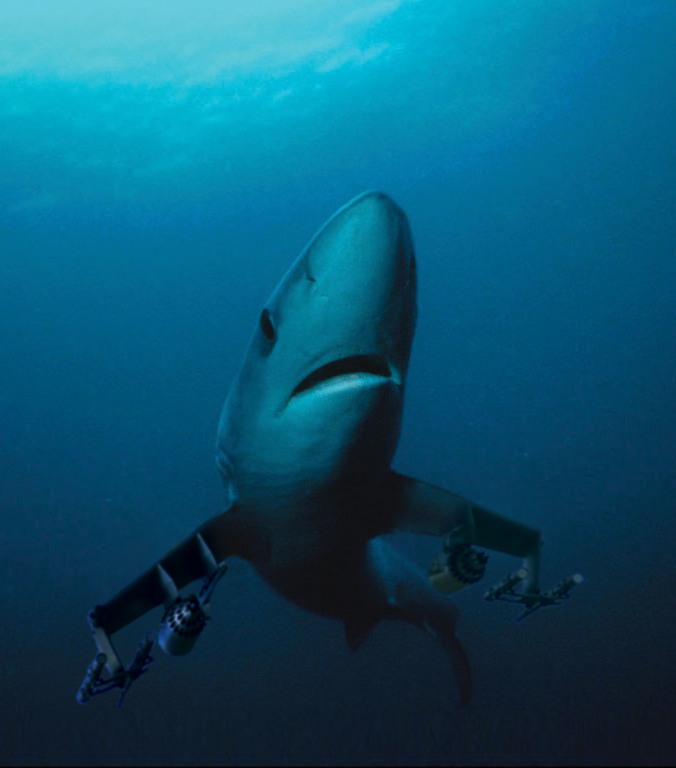 Photoshop Design by leanhphong for DesignCrowd (Community Contests) | Design #9023109