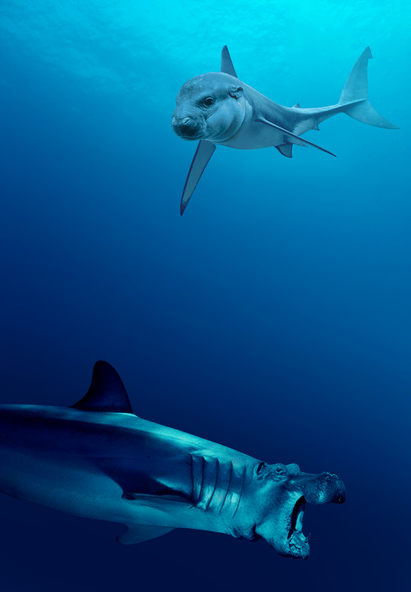 Photoshop Design by vertigopolka for DesignCrowd (Community Contests) | Design #9023138