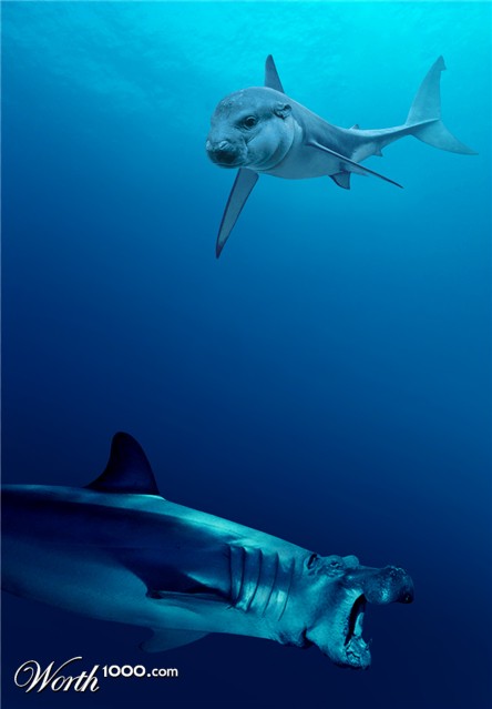 Photoshop Design by vertigopolka