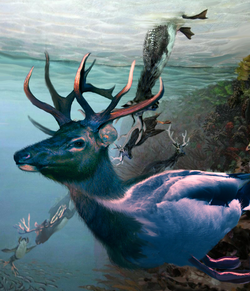 Photoshop Design by Vinetta for DesignCrowd (Community Contests) | Design #9023162