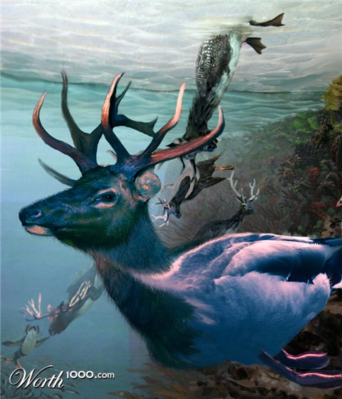 Photoshop Design by Vinetta