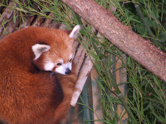 Photography by alxkueyar for DesignCrowd (Community Contests) | Design #9019422