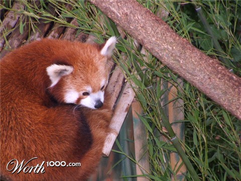 Photography by alxkueyar