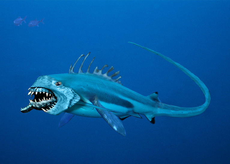 Photoshop Design by machacasaurio for DesignCrowd (Community Contests) | Design #9023177