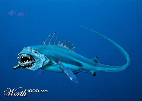 Photoshop Design by machacasaurio