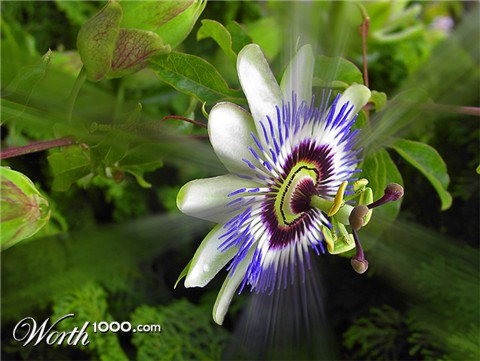 Photography by Karrie