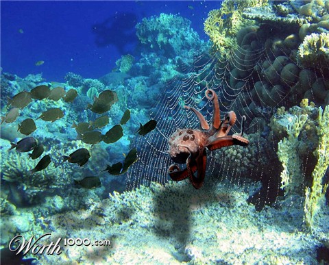 Photoshop Design by abarbiedoll6538