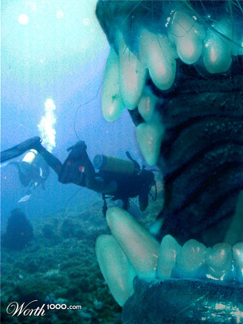 Photoshop Design by endingswithaz