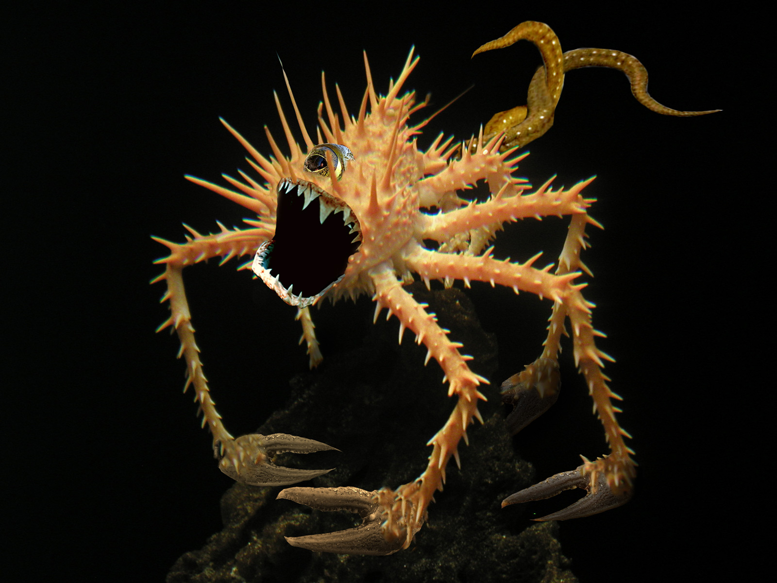 Design Photoshop par Terrence pour DesignCrowd (Community Contests) | Design #9023190