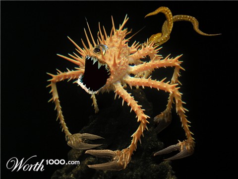 Photoshop Design by Terrence