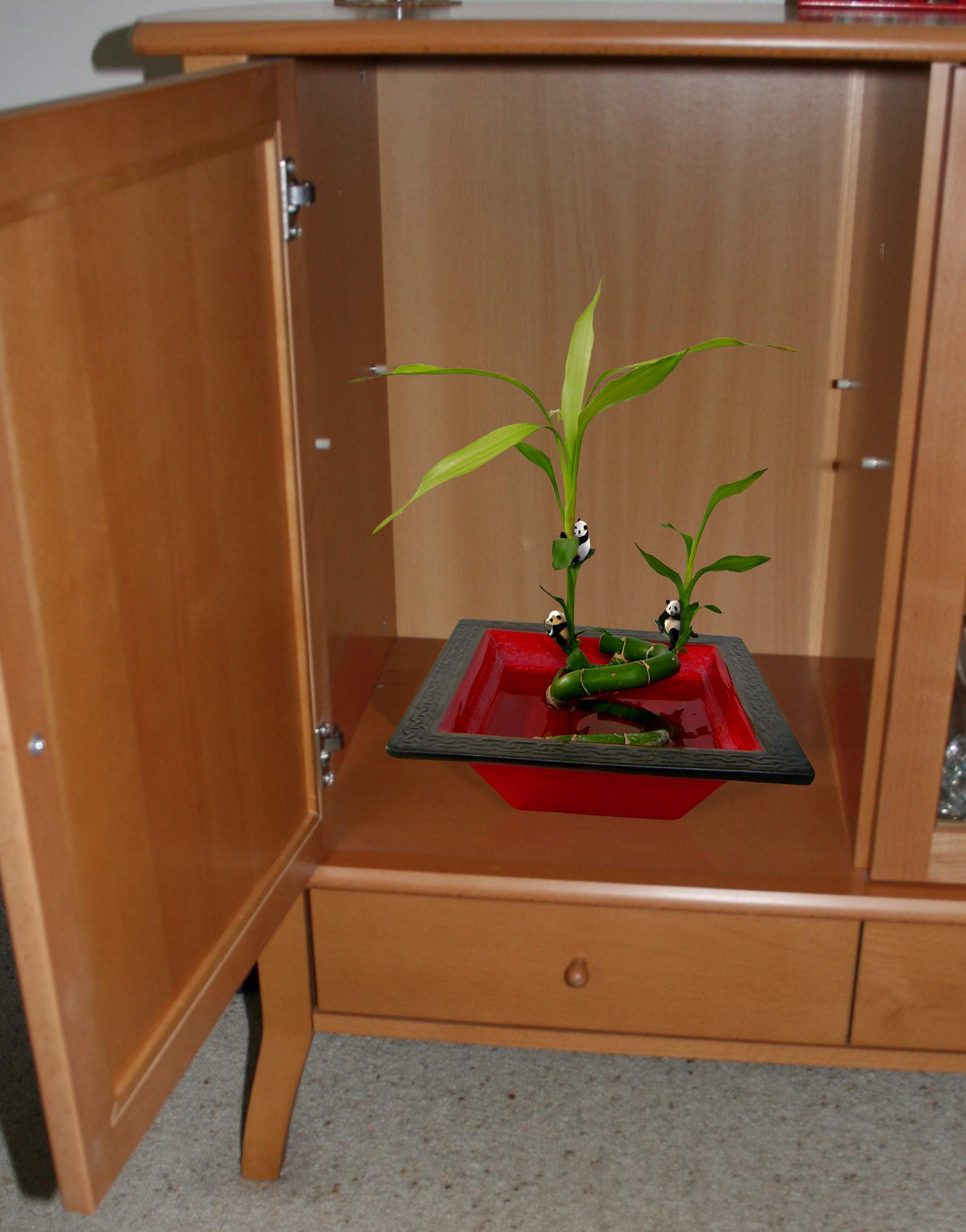 Diseño de Photoshop por anacist para DesignCrowd (Community Contests) | Diseño #9019587