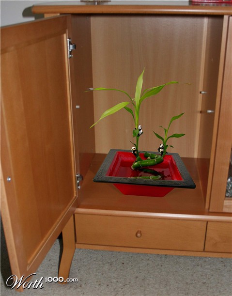 Photoshop Design by anacist