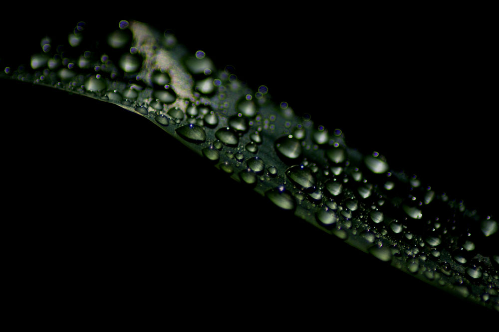 Fotografía por timsphotos para DesignCrowd (Community Contests) | Diseño #9017051