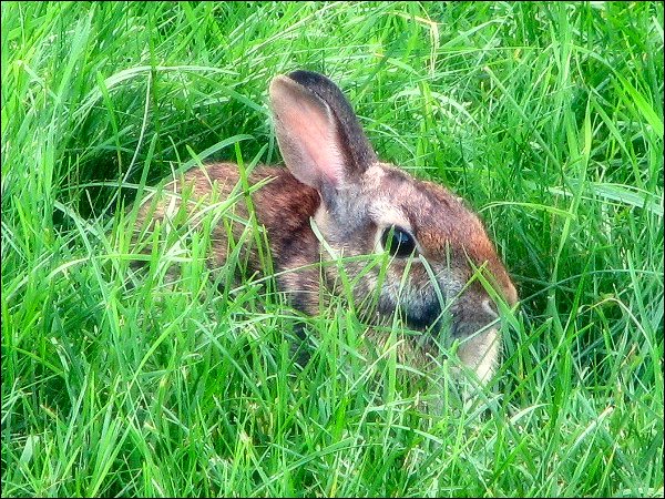 Photography by moonflower for DesignCrowd (Community Contests) | Design #9019404