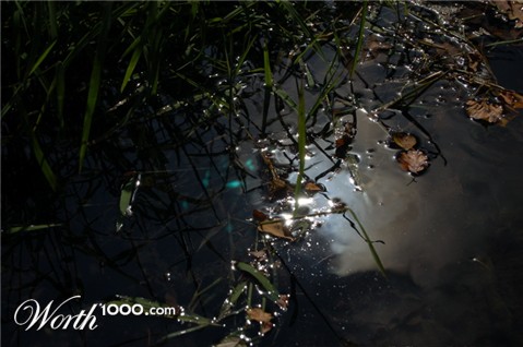 Photography by mdanse
