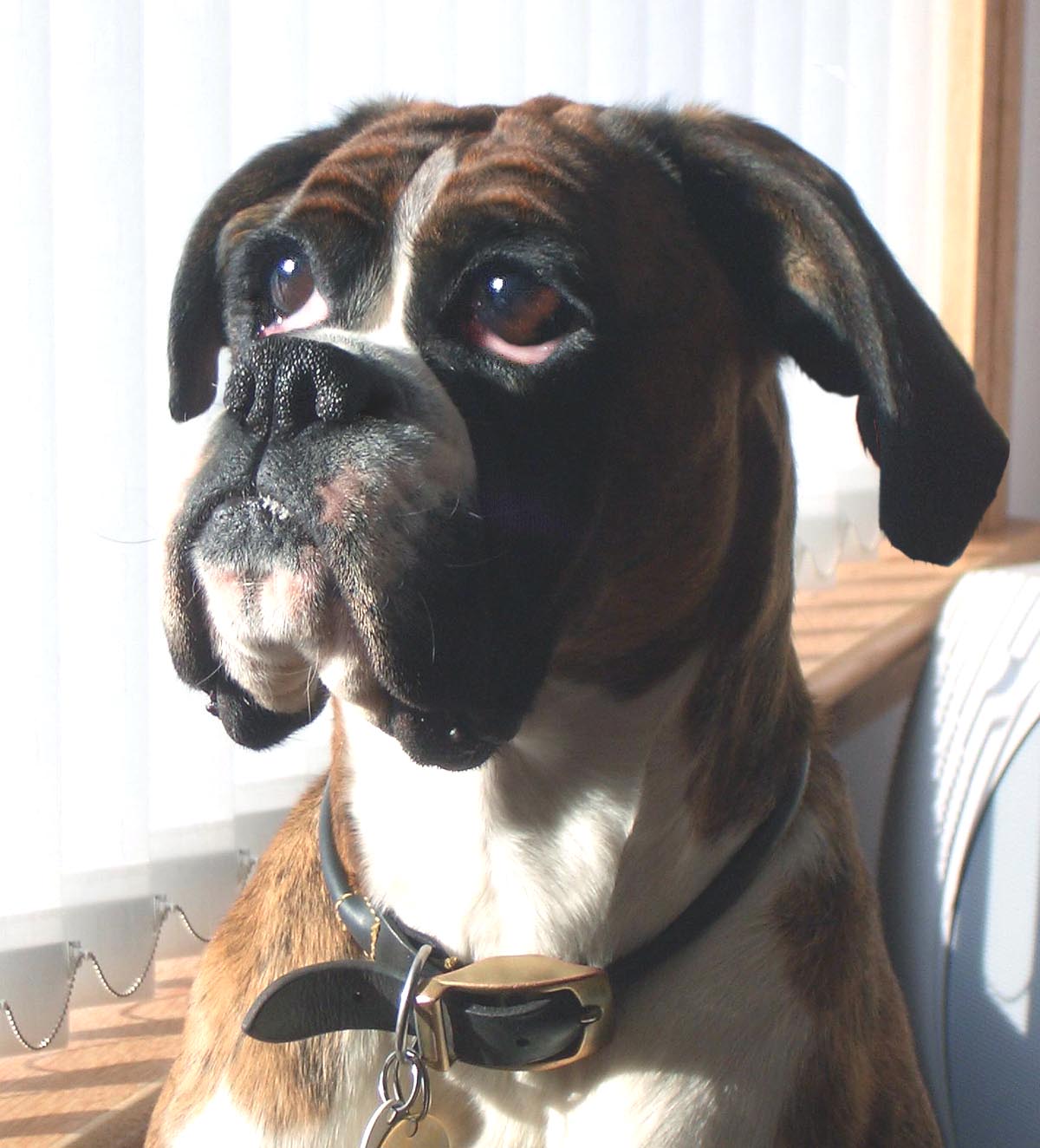 Photoshop Design by philiater1 for DesignCrowd (Community Contests) | Design #9015152