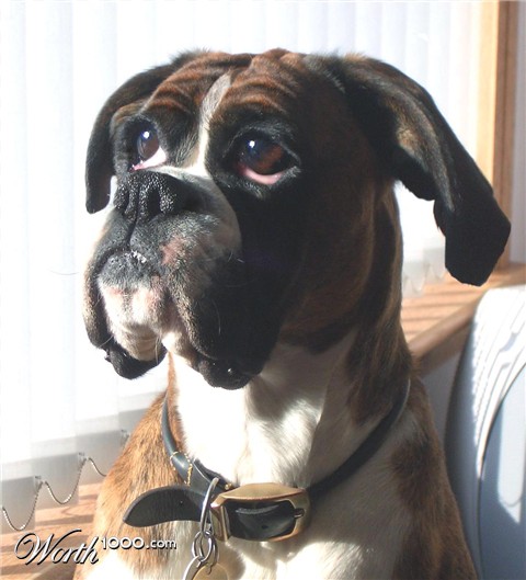 Photoshop Design by philiater1