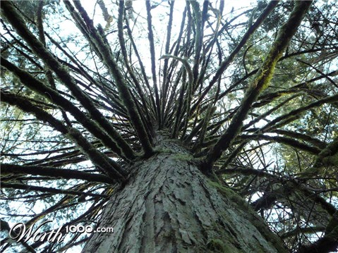 Photography by SteelMonkey