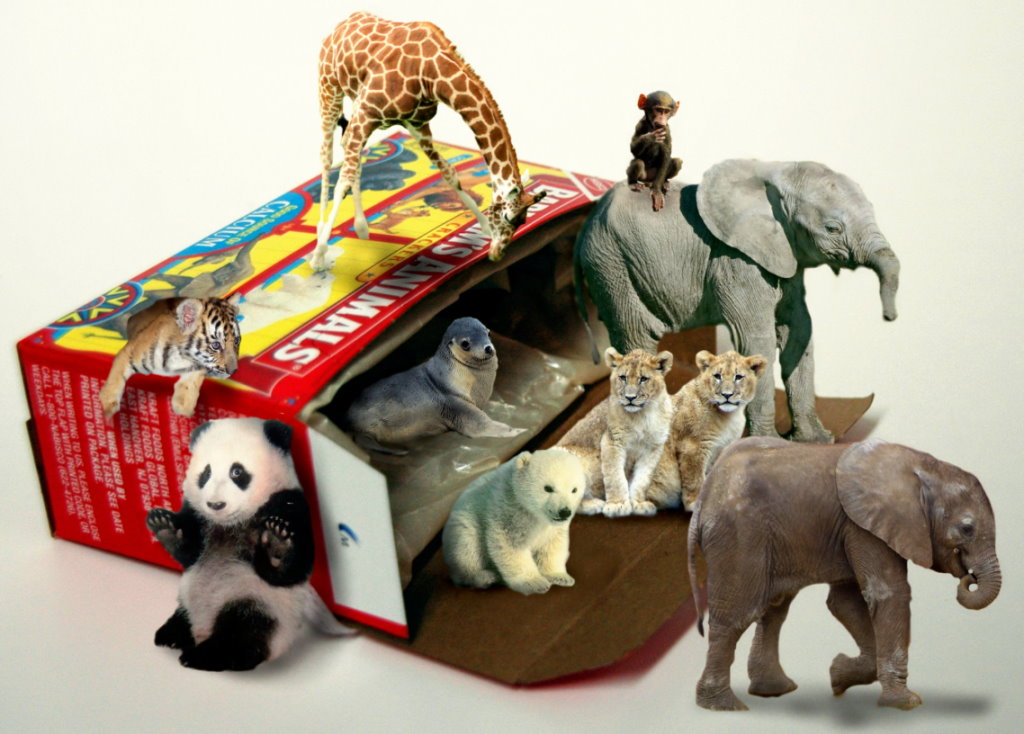 Photoshop Design by HopePhoto for DesignCrowd (Community Contests) | Design #9015201