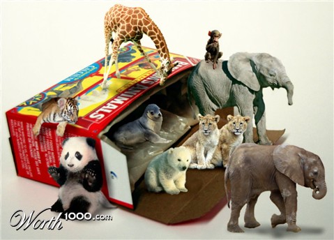 Photoshop Design by HopePhoto