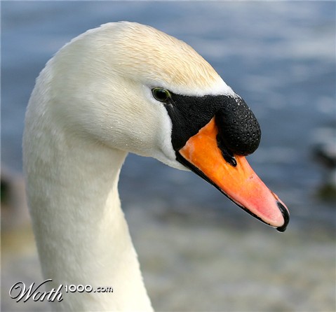 Photography by fatheroftwo