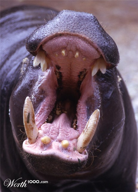 Photography by Chandler