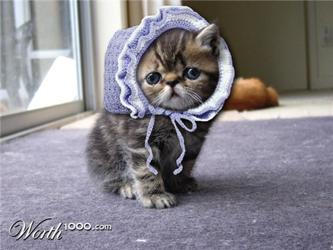 Photoshop Design by mattbyng