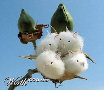 Photoshop Design by JClark8220