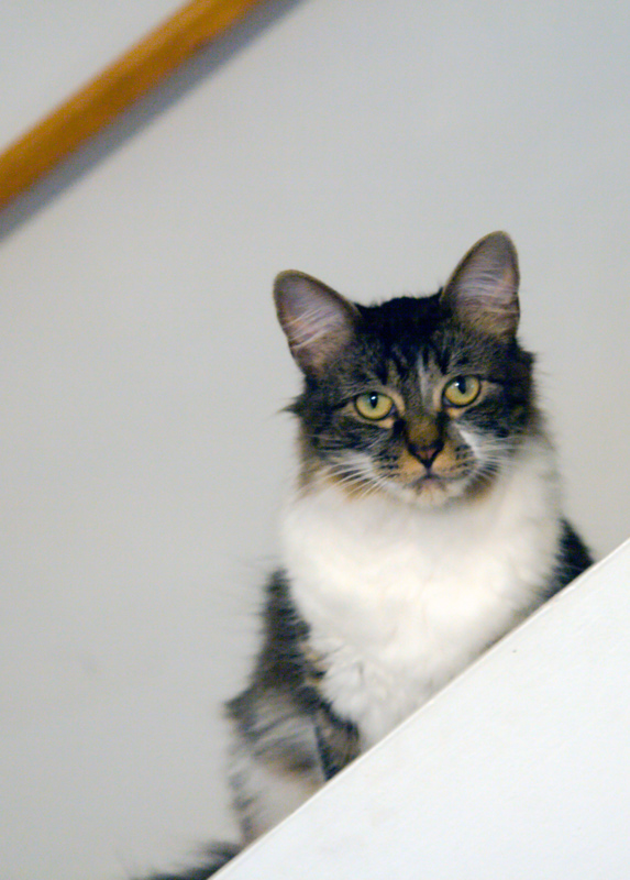 Photography by desstorm for DesignCrowd (Community Contests) | Design #9016616