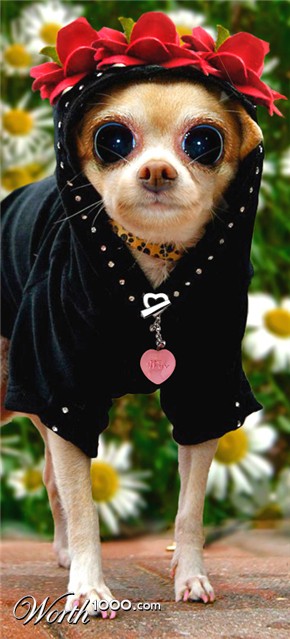 Photoshop Design by ozplasmic