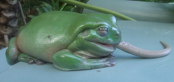 Photography by EyEars for DesignCrowd (Community Contests) | Design #9019408