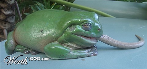 Photography by EyEars