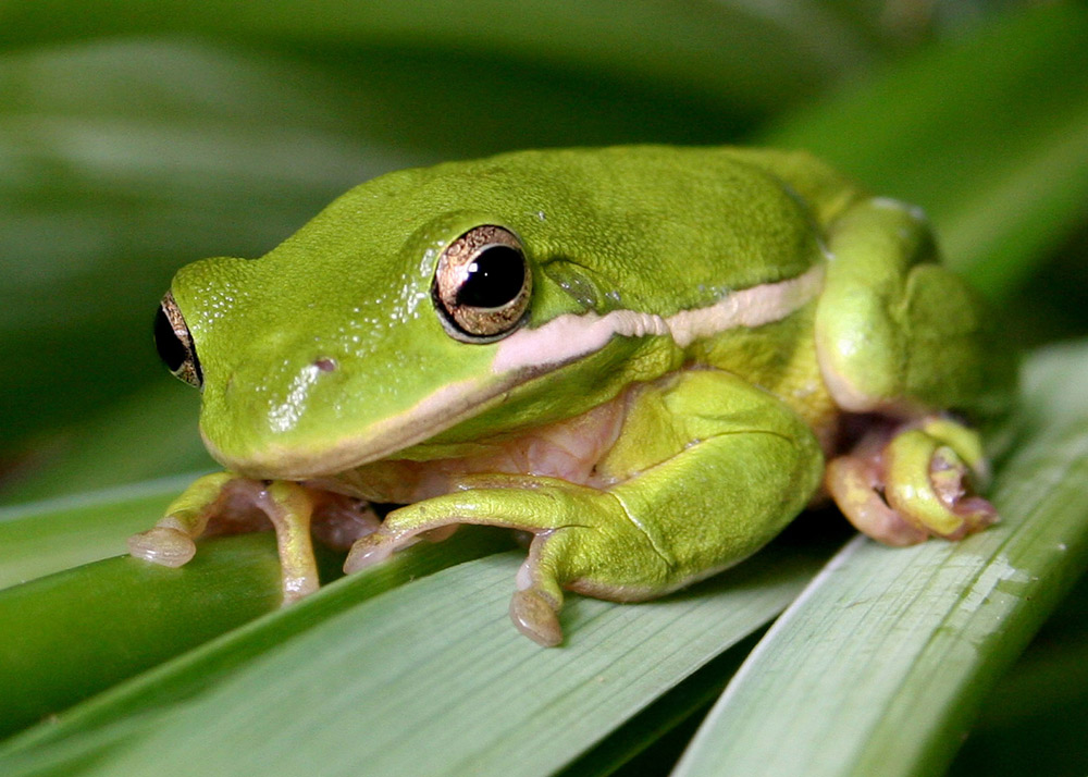 Photography by starrwalker for DesignCrowd (Community Contests) | Design #9019426