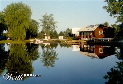 Photography by tigercrosse