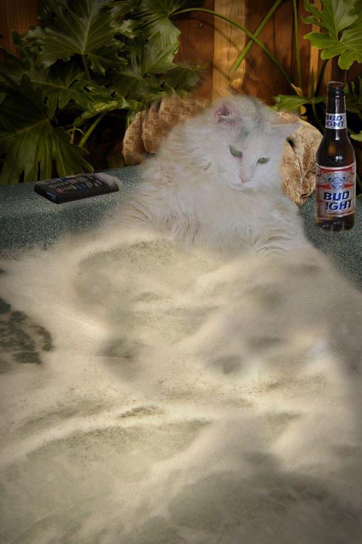 Diseño de Photoshop por laggdan para DesignCrowd (Community Contests) | Diseño #9015383