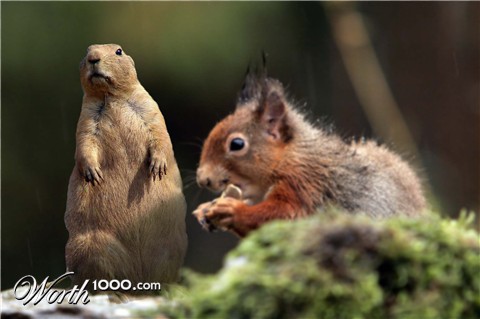 Photoshop Design by ravicreative