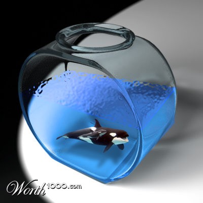 Photoshop Design by gman1015