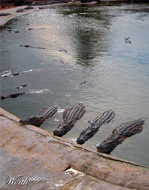 Photography by PozZz85