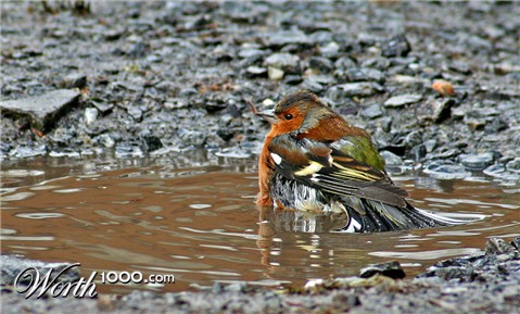 Photography by Massie