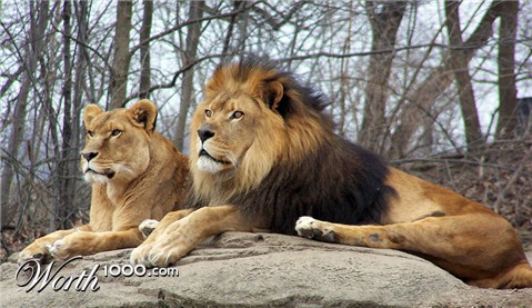 Photography by kat426